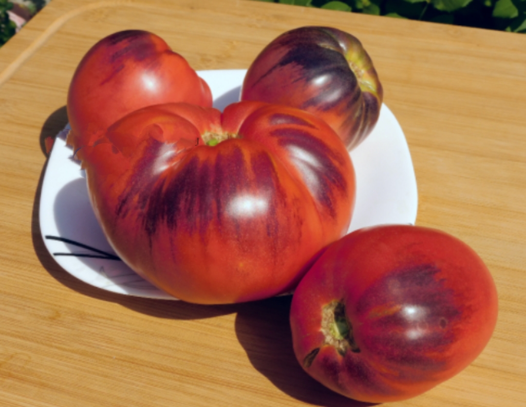 732玛丽中士2023  店主推荐，5粒全店38包邮偏远地区除外