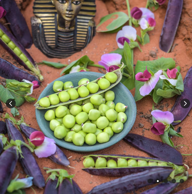 图坦卡蒙紫豌豆10粒种子全店满38包邮偏远地区除外