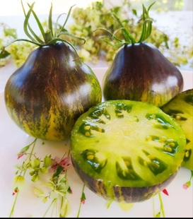 618VT16战斗机梨型 5粒种子