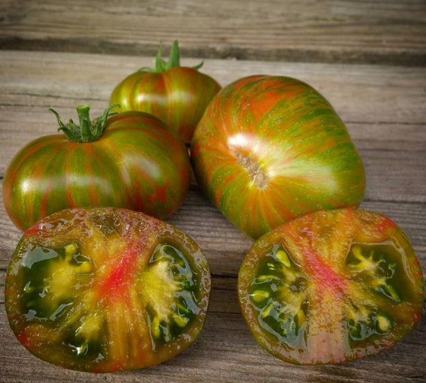 102侏儒蝮蛇Pit Viper Dwarf Tomato(5粒种子)(售罄)无售后