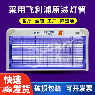飞利浦电击灭蝇灯餐厅驱蚊器电蚊灯防蚊灯苍蝇诱蚊灯饭店灭蚊灯管