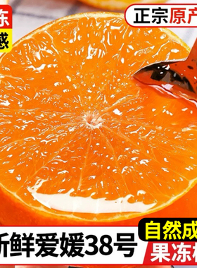 四川爱媛38号果冻橙果园现摘橙子新鲜当季水果柑橘蜜桔子整箱包邮