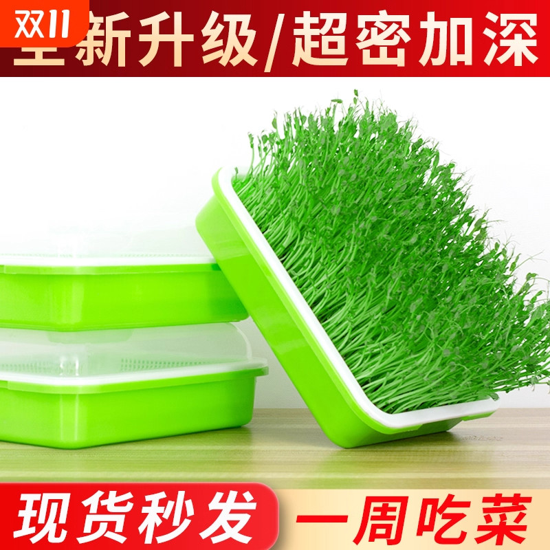 新款花生芽发芽神器家用发豆芽盆工具麦芽水培蔬菜豌豆苗托盘架,鲜花速递/花卉仿真/绿植园艺,育苗盘/营养钵,淘宝优惠券,粉丝福利购,淘宝优惠卷