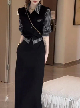 气质显瘦高级条纹半身裙女2025春季新款两件套女装时尚套装2330