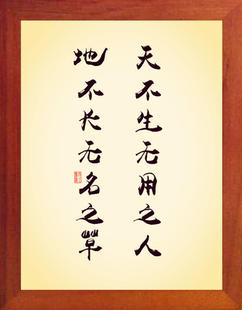 营养书画 天然实木有框画装饰画 天不生无用之人 地不长无名之草
