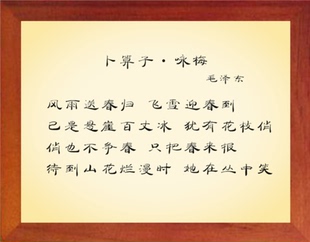 饰画挂摆件 营养书画 简约现代装 咏梅 进口实木有框画 卜算子