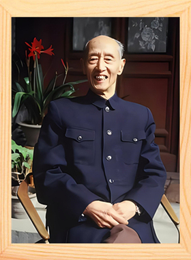 装饰画挂摆件诗坛泰斗臧克家