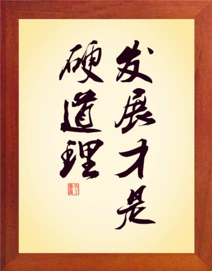 营养书画 进口实木有框画简约现代装饰画挂摆件 发展才是硬道理