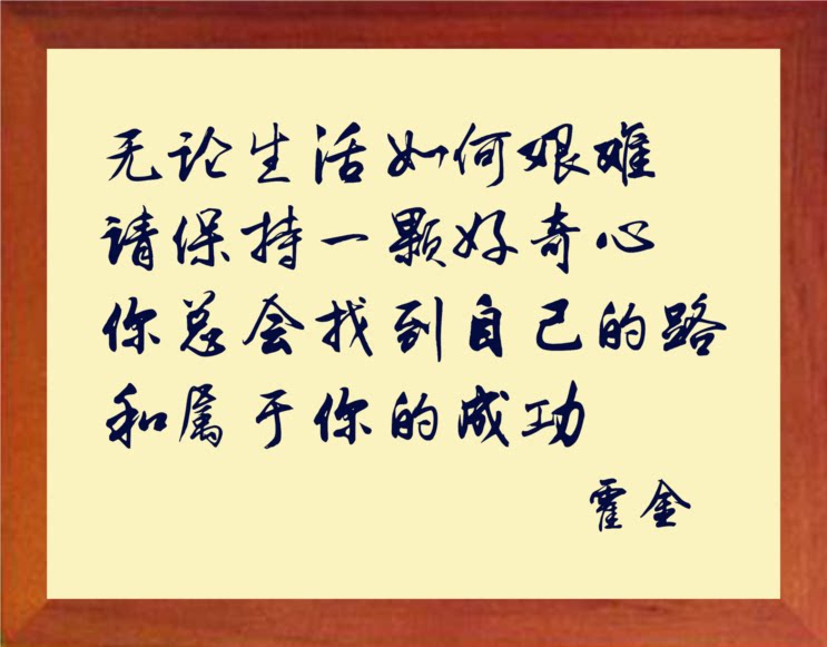 营养书画 天然实木有框画装饰画挂摆件 请保持一颗好奇心 霍金