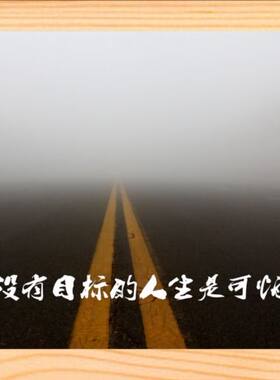装饰画没有目标的人生是可怕的
