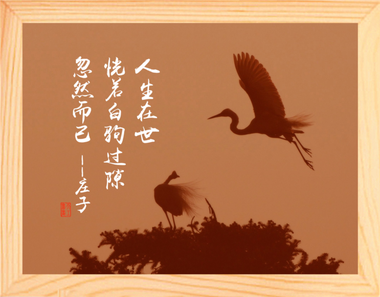 营养书画 天然实木有框画装饰画 人生在世 恍若白驹过隙 忽然而已