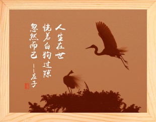 营养书画 天然实木有框画装饰画 人生在世 恍若白驹过隙 忽然而已