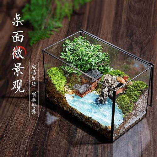 趣味苔藓微景观创意桌面生态瓶
