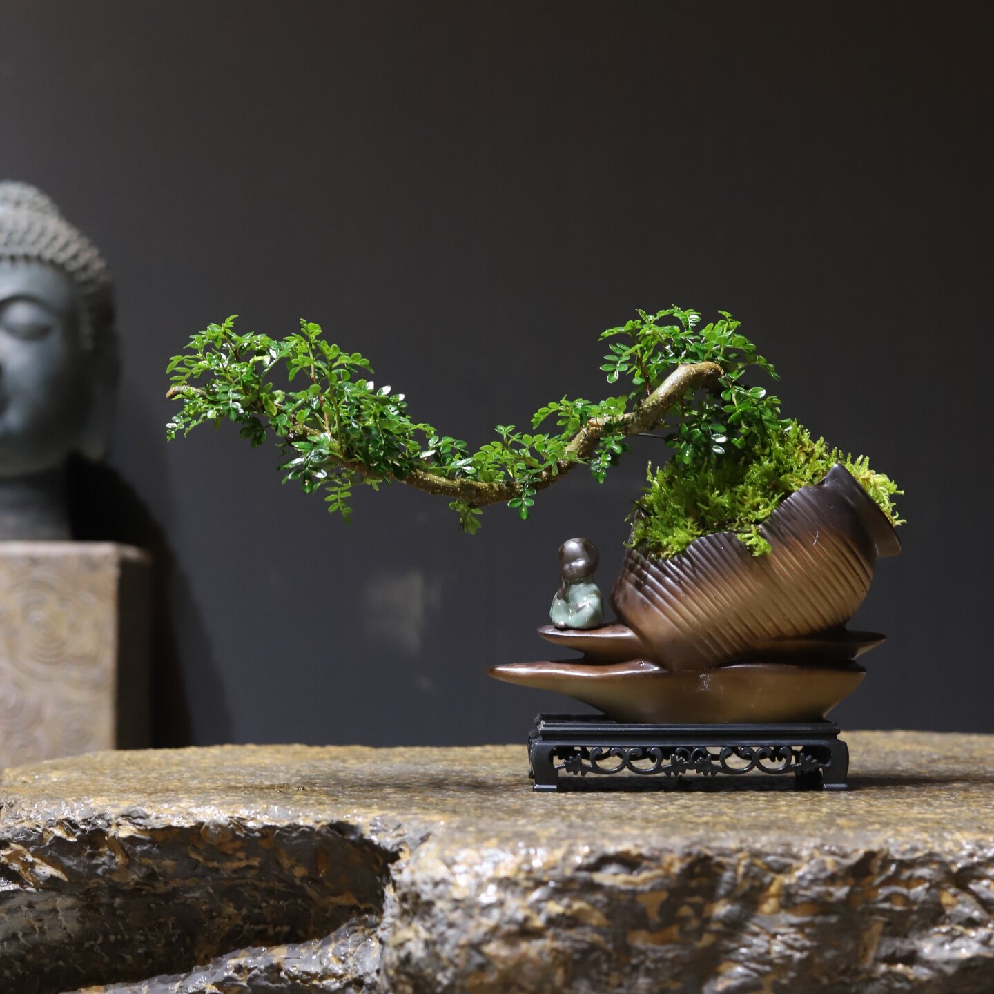 一盆清香木，把自然的清冽与温柔搬进家里，微风拂过，满室淡香。