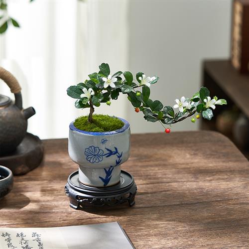 福建茶盆景造型老桩办公室桌面