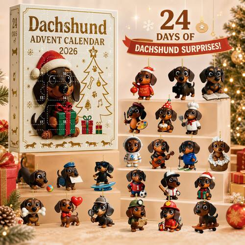 Dachshund Christmas Advent Calendar Blind Box 24 Days Countd