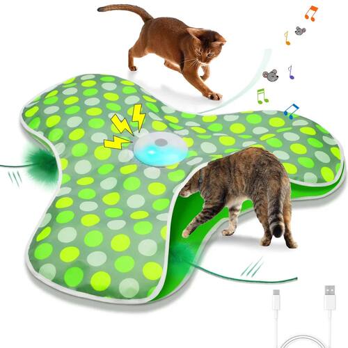 Smart Cat Toys Interactive Hide and Seek Cat Toy with Mouse
