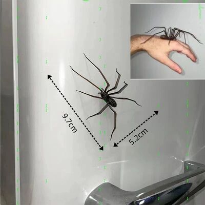 Spider Fridge Magnets Decor for Refrigerators Fun Novelty Ma