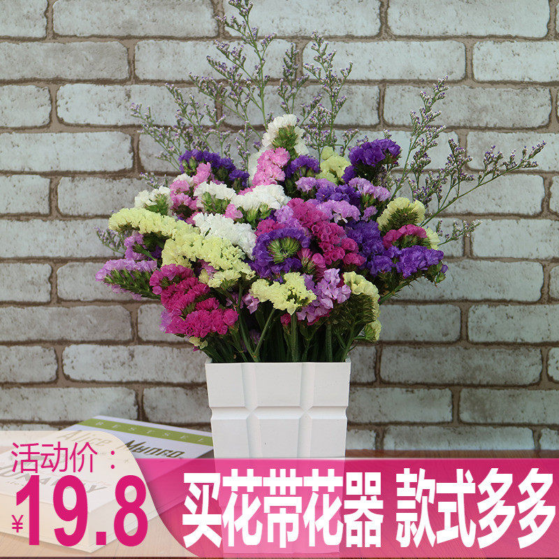 [With flower]Dried flowers Bouquet of flowers natural Gypsophila Forget me not Air drying a living room decorate flower arrangement Qingren Caoin the Home accessories , Vase/Flower/Artificial flowers/Imitation jewelry , Dried flowers/Petal/Dried package/Dry twigs  category - from Buy2taobao.com to provide professional Taobao agent buy service