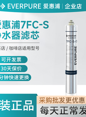 爱惠浦7FC-S-CN滤芯商用净水器原装咖啡奶茶店大流量4FC-S-CN滤材