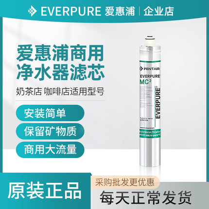 爱惠浦净水器滤芯MC2 4FC-S 7FC-S I20002 I5002BH2 MH2 7FT商用