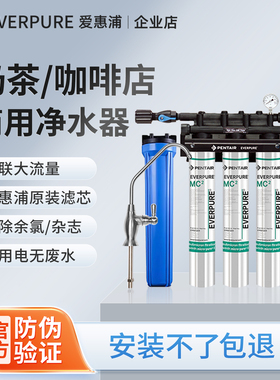 爱惠浦净水器商用MC2三联直饮水机大流量过滤器奶茶店咖啡店专用