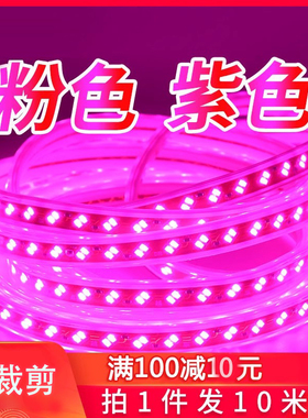 LED灯带紫色粉色粉红色吊顶灯带220V灯带粉光灯条客厅卧室KTV
