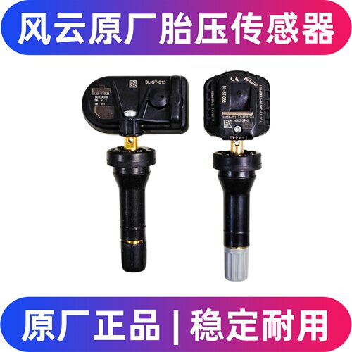 风云T9A9L胎压传感器T86T10T11A8