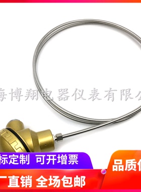 上海博翔 铠装铂铑热电偶 WRPK-131 S型B型R型铠装铂铑热电偶