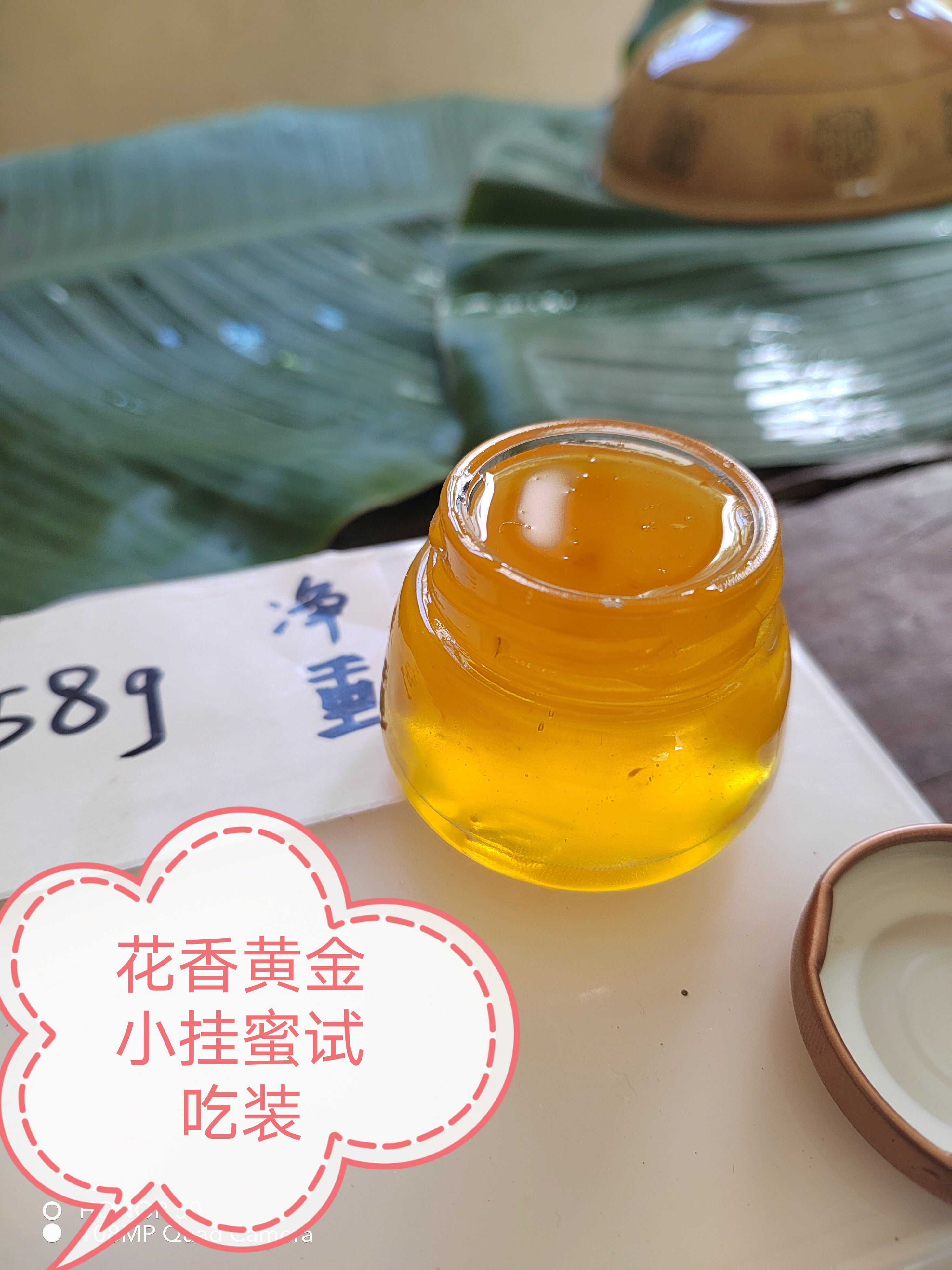 云南蒙自野生花香小挂蜜黄金小挂蜜过滤好成品