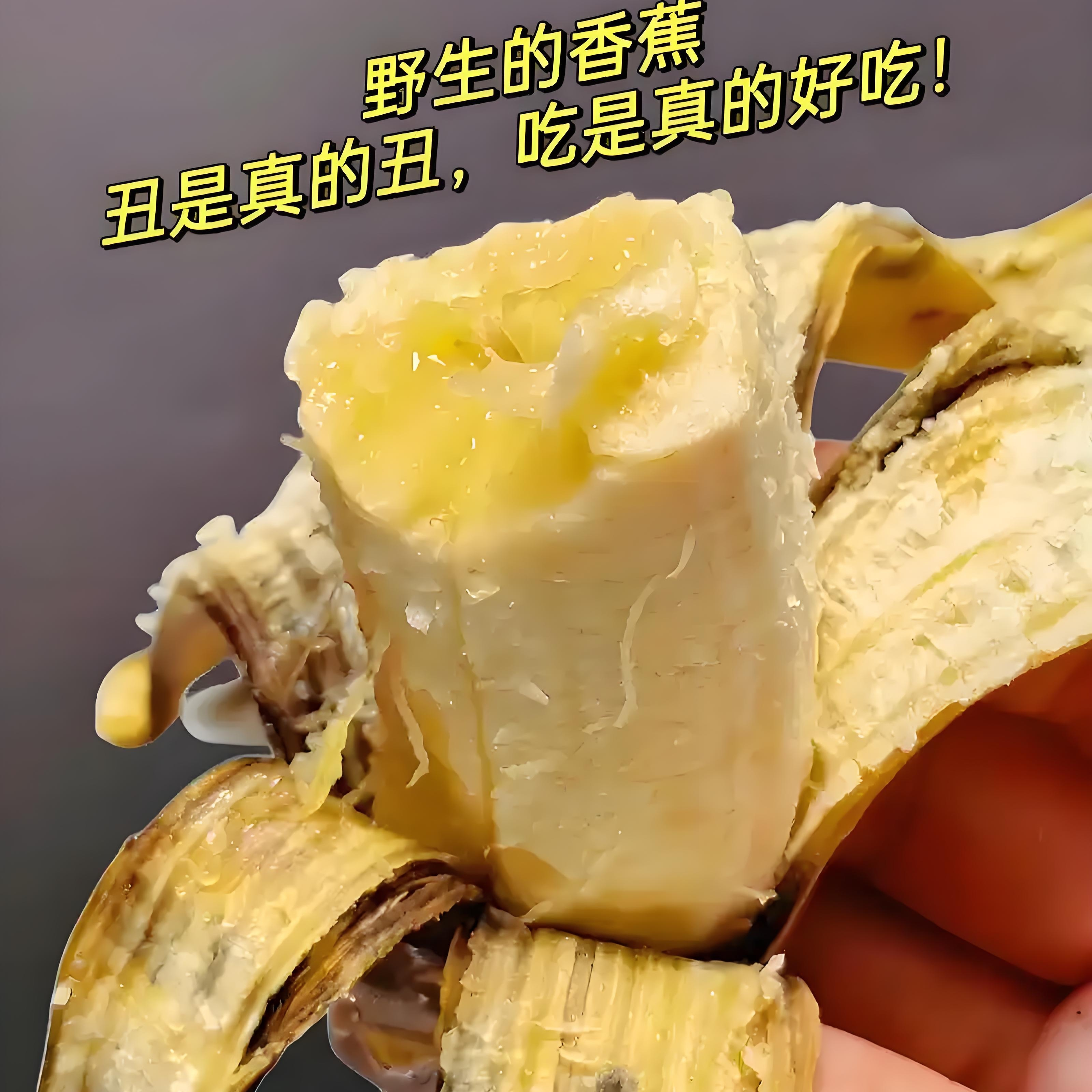 云南蒙自野生香蕉新鲜现货自然熟