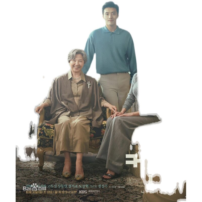 盒装定制/设计 树立而死 姜河那、河智苑 DVD 盘面图案