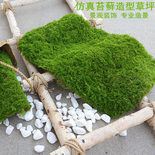 蓝轩景观仿真苔藓块软装造景草皮