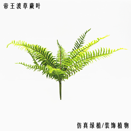 仿真帝王波斯草单片长叶蕨叶仿真植物墙素材装饰叶子把束绿植促销