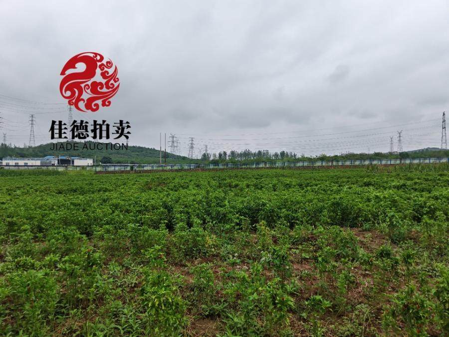 1月8日洛阳工业用地及其地上附着物网络拍卖公告