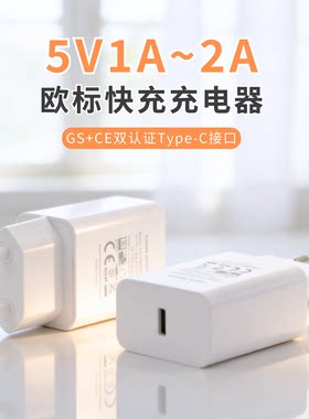 5V1A欧标转换插头2A多功能旅行