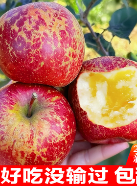 云南昭通丑苹果新鲜水果当季冰糖心红露苹果现摘红富士邵通包邮