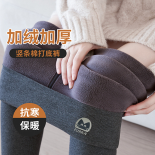 绒裤 女外穿秋冬季 新款 保暖裤 加绒云朵裤 东北加厚羊羔绒棉裤 打底裤