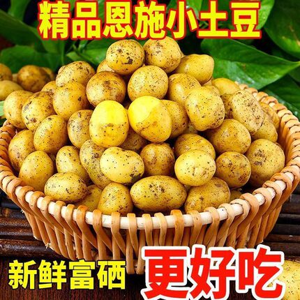 恩施小土豆10斤农家富硒正宗新鲜洋芋迷你黄心土豆湖北马铃薯蔬菜