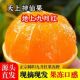 正宗秭归九月红果冻橙9斤 新鲜现摘现发当季 整箱冰糖爱媛橙子