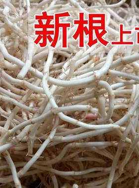 现挖鱼腥草嫩根折耳根新鲜鱼腥草洗净泡水凉拌消炎五斤装包邮农家