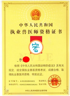 咨询皮肤外科宠物医生