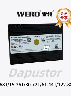 全新大普微R5100/J5100/J5101/R6101 7.68/15.36/30.72T固态硬盘
