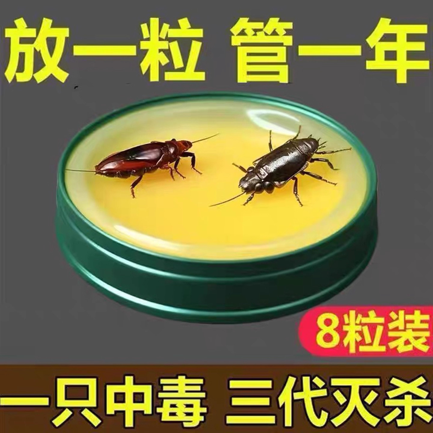 蟑螂药家用一窝端屋神器灭大小通杀饵胶厨房卧室捕捉器无毒除杀死