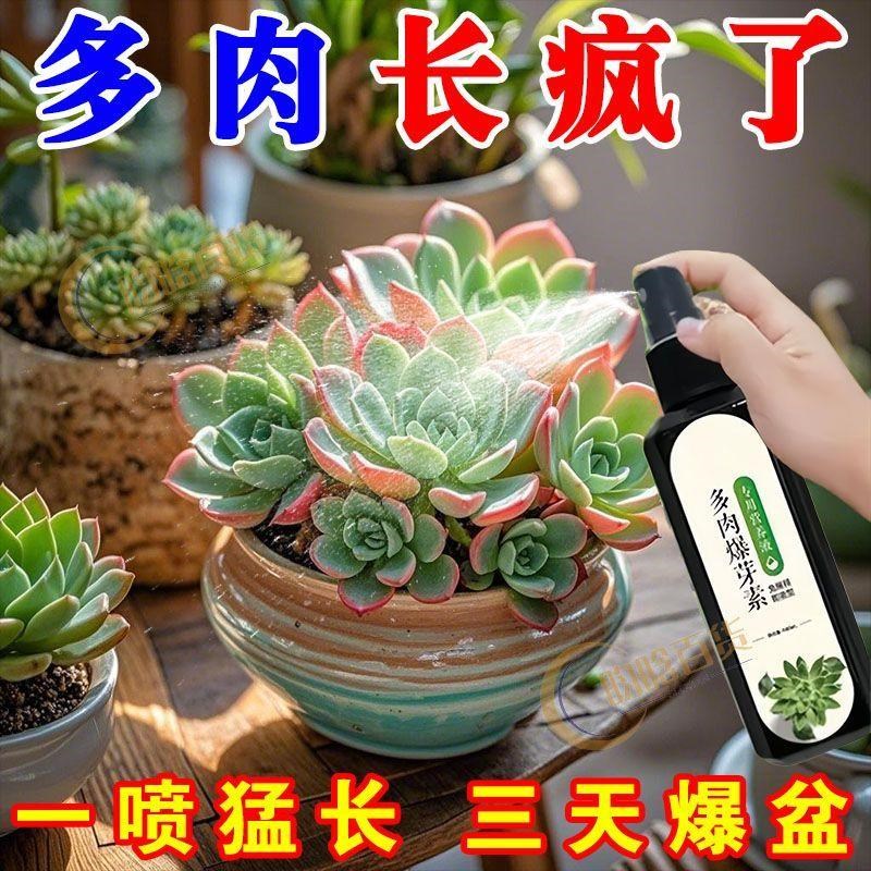 【快速爆盆】多肉营养液爆芽素生根发芽优芽素群生老桩.催芽专用