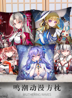 mc吟霖今汐长离守岸人椿珂莱塔菲比动漫游戏周边40X40方枕抱枕