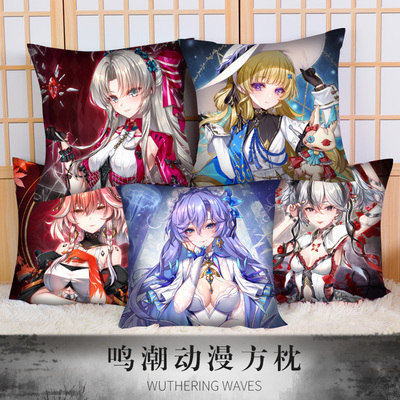 mc吟霖今汐长离守岸人椿珂莱塔菲比动漫游戏周边40X40方枕抱枕
