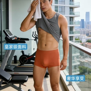 浙锦同款面料男士双面兰精莫代尔无痕平角内裤大码透气内裤抑菌