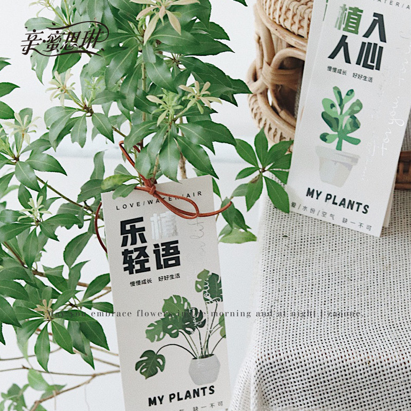 亲蜜思琳 通用绿植盆栽多肉鲜花养护知识卡 绿植养护卡 吊卡卡片