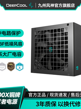 九州风神PF600X700X铜牌毁灭者电源台式电脑电源额定功率600w700w